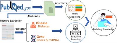 Text mining-based identification of promising miRNA biomarkers for diabetes mellitus